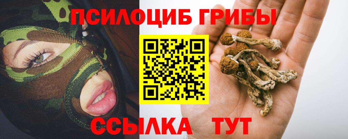 Дивногорск  Псилоцибиновые грибы мицелий  Вход с VPN 